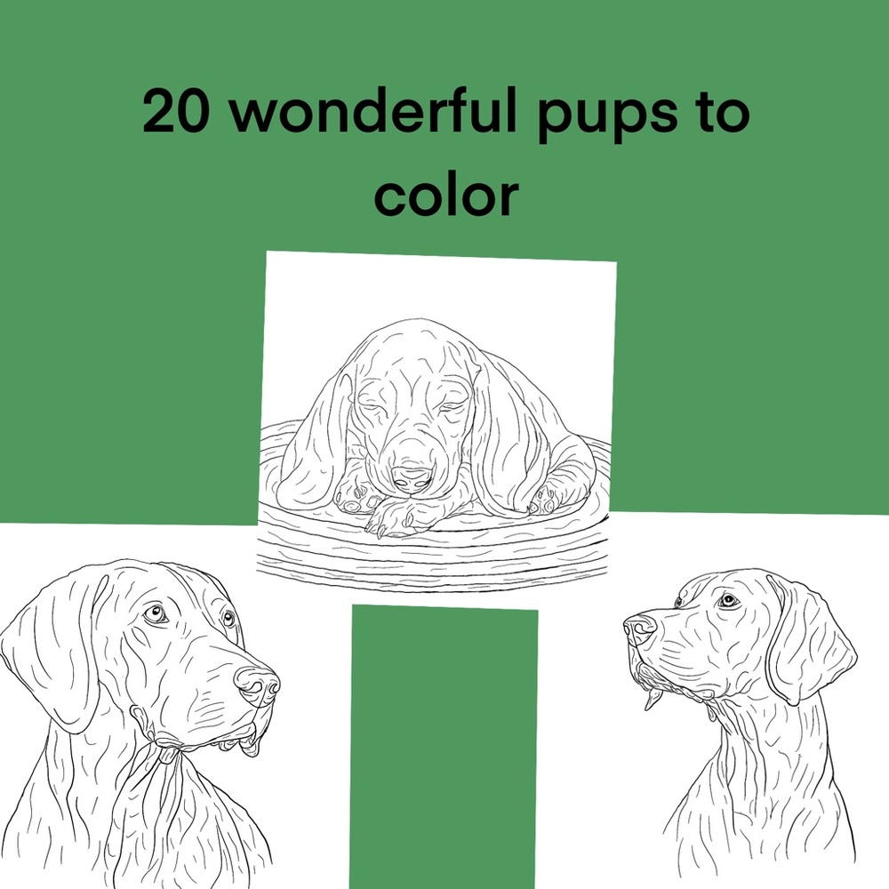 Coloring. Book - Picture 2 of 2